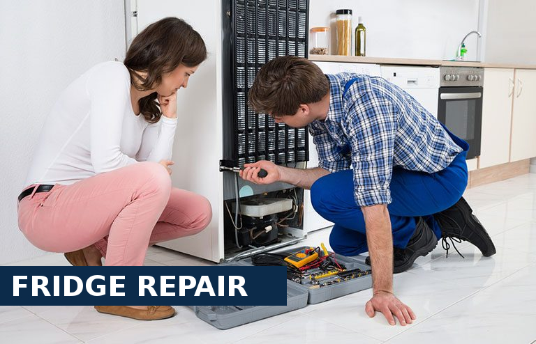 Fridge Repair Bexley